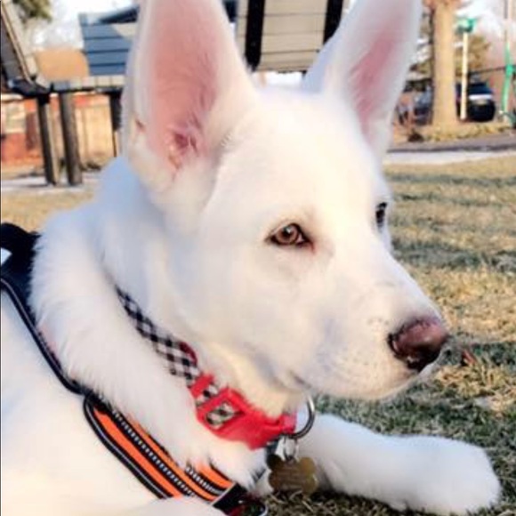 Meet your Posher, Kimberly - Picture 1 of 1